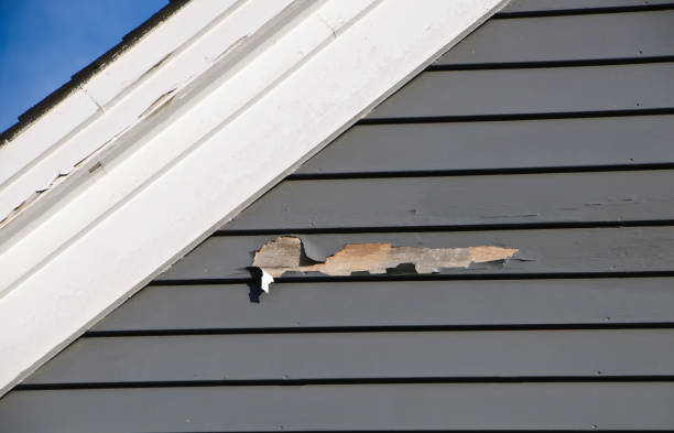 Best Shed Removal  in Patterson, LA